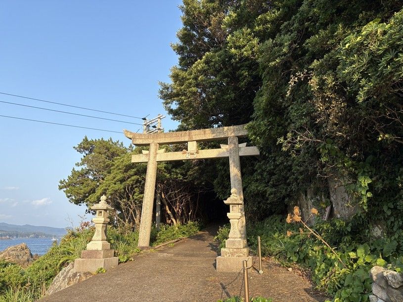 画像4