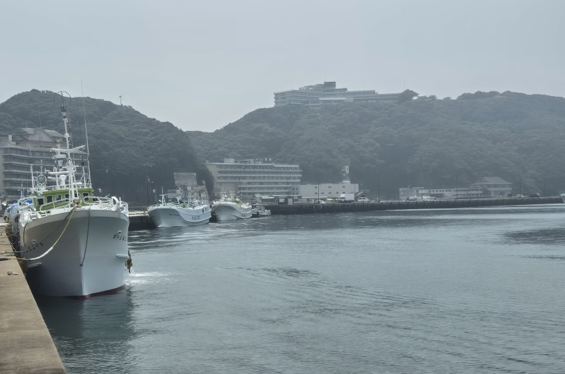 画像4