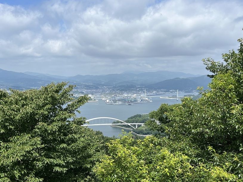 画像5