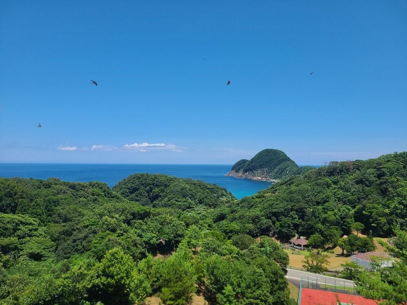 画像2
