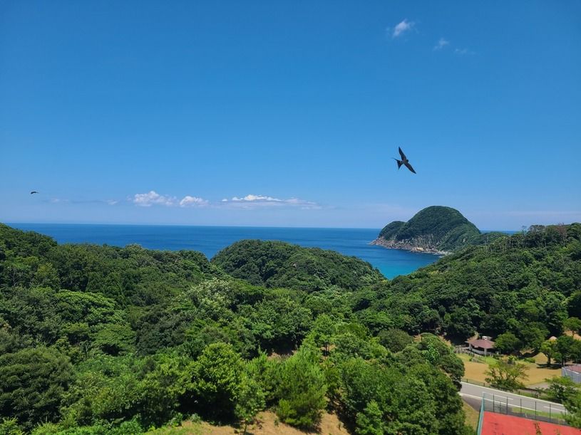 画像3