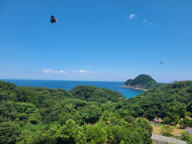 画像4