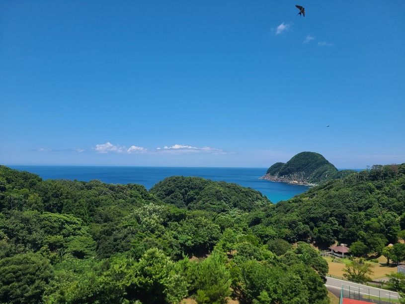 画像5