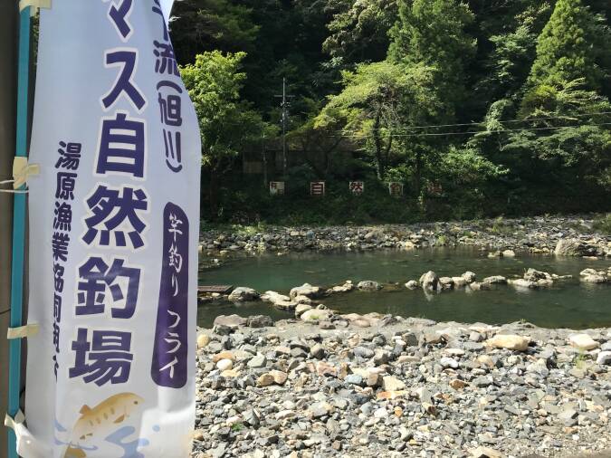 画像1