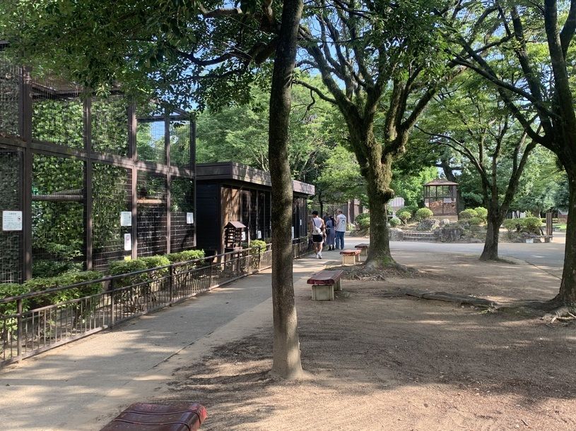 画像2