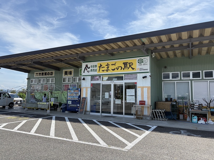 画像3