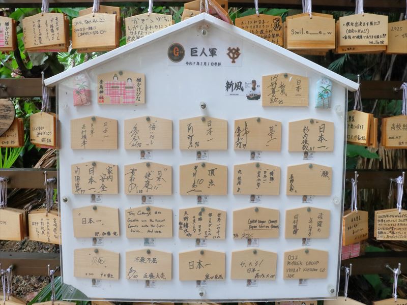画像1