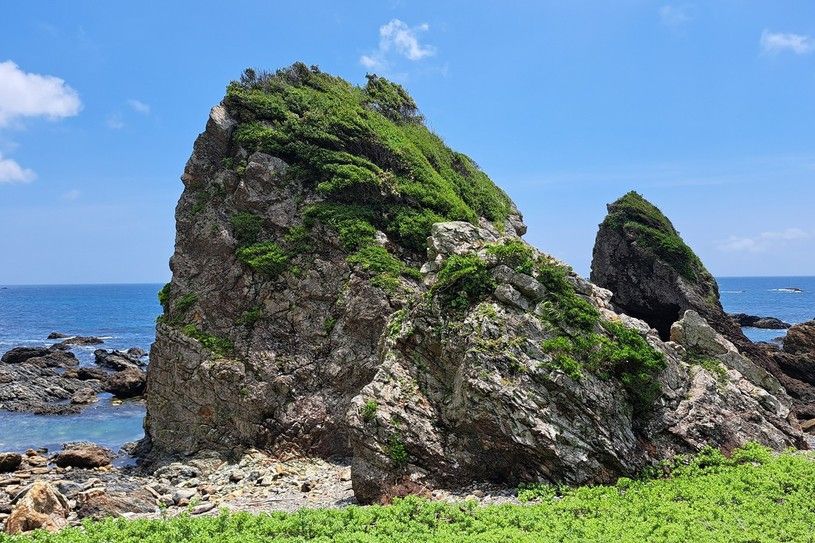 画像1