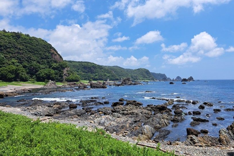 画像1