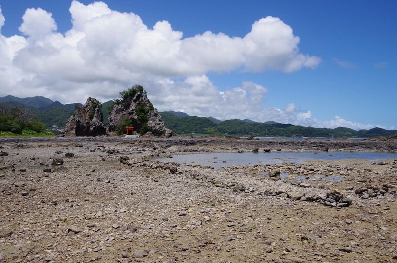 画像1