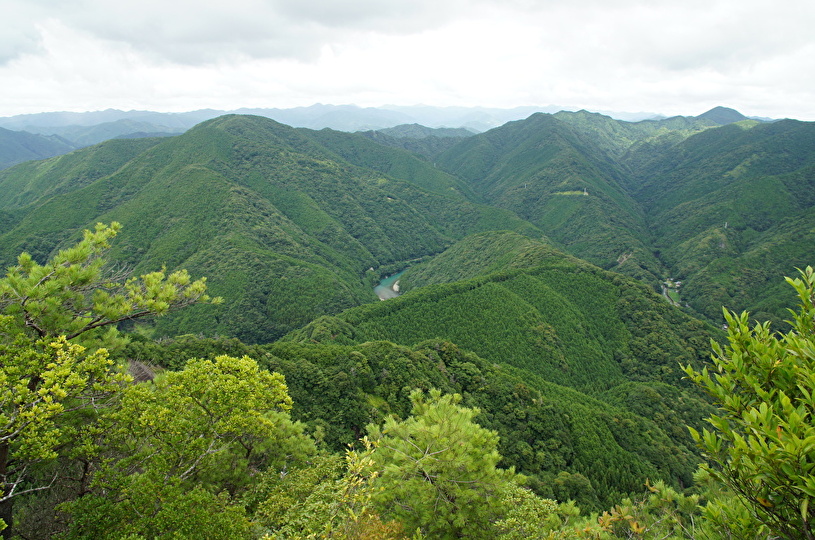 画像1