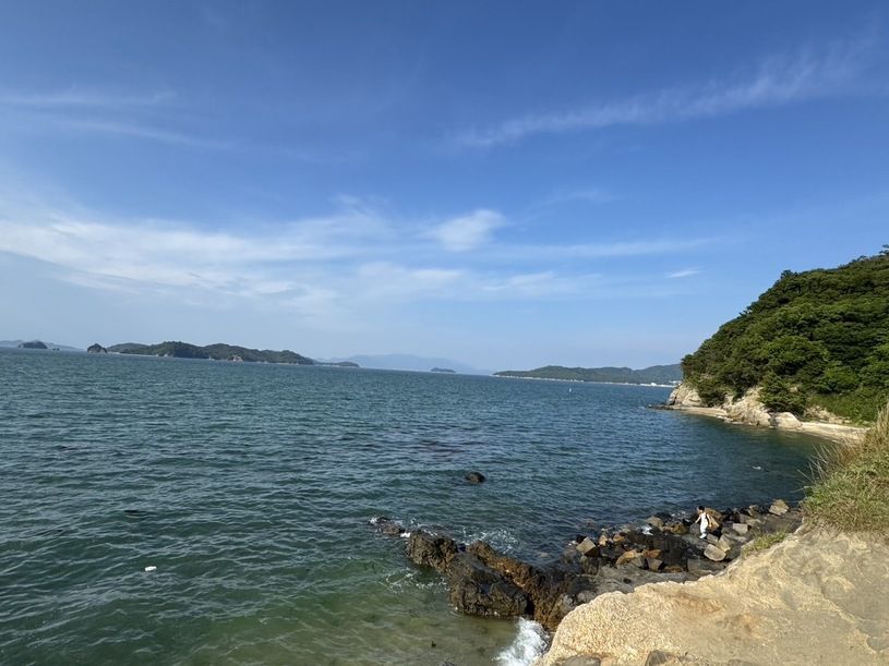 画像4