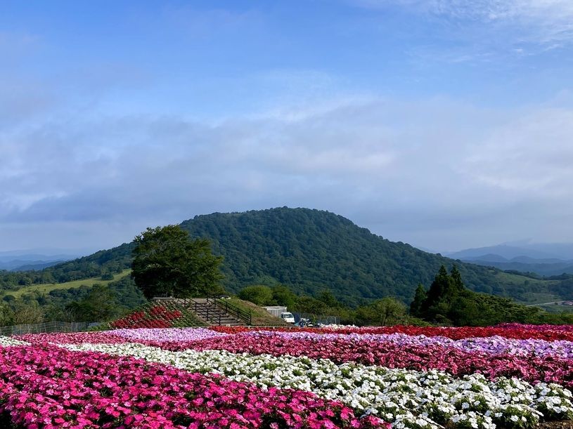 ブログ | 休暇村茶臼山高原【公式】