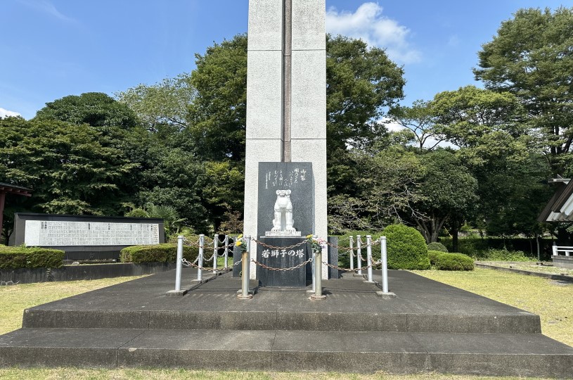 画像1