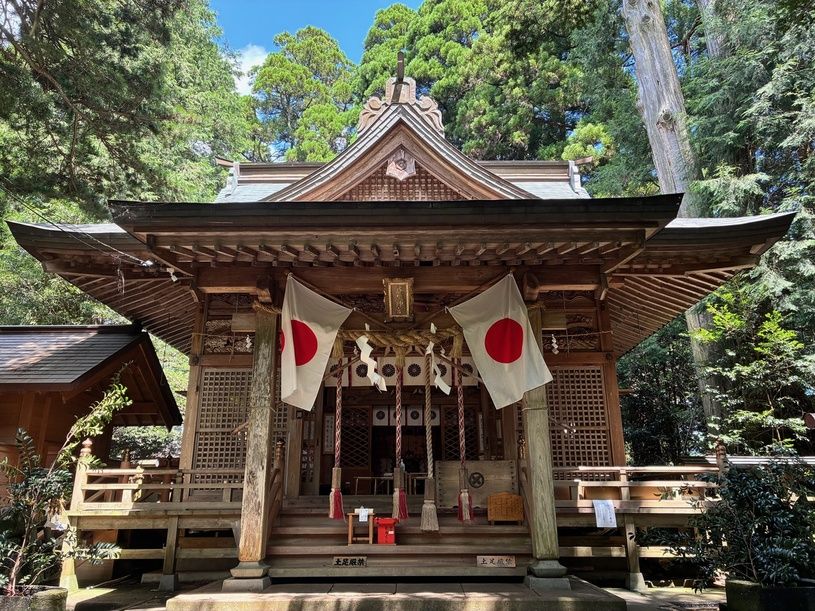 画像1