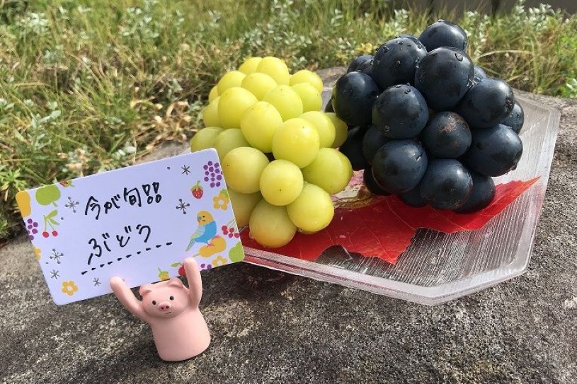 画像1
