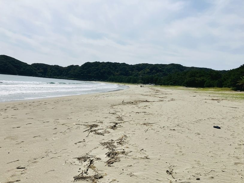 画像5
