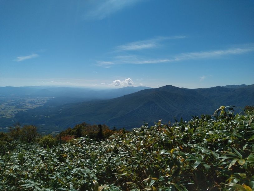 画像5