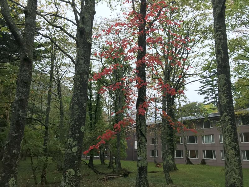 画像5