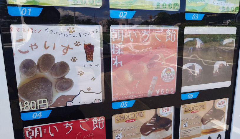 画像1