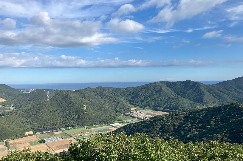 画像5