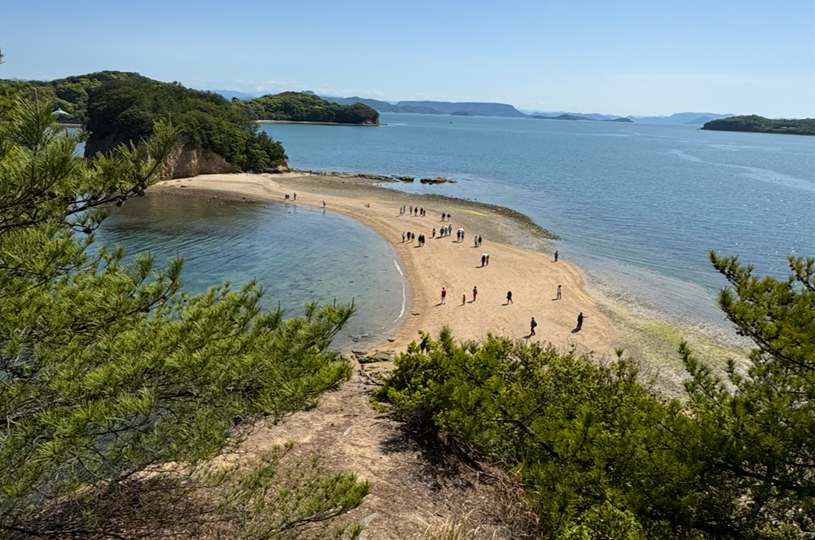 画像1