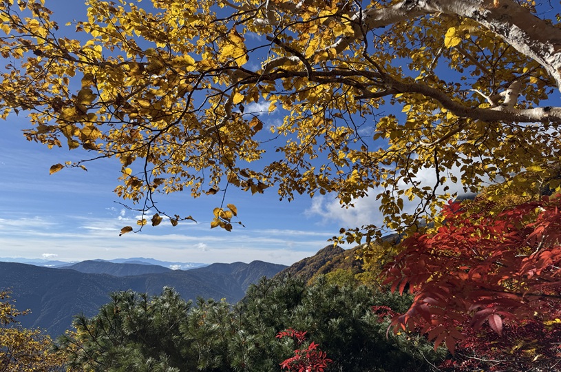 画像3