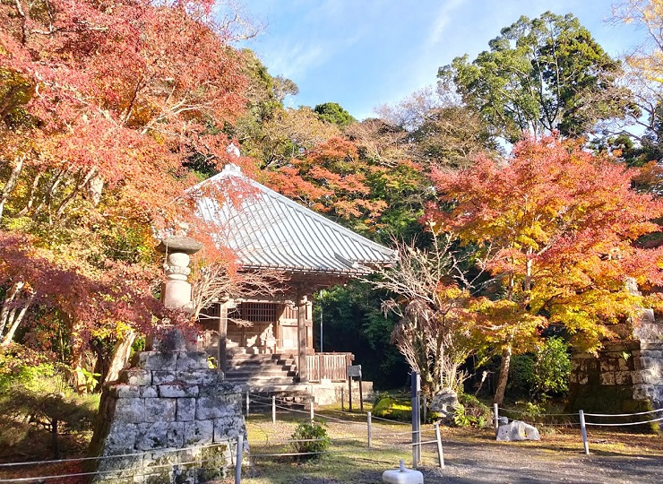 画像2