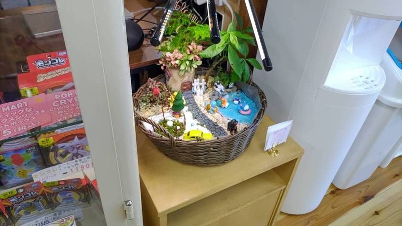 画像5