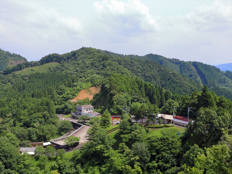 画像5