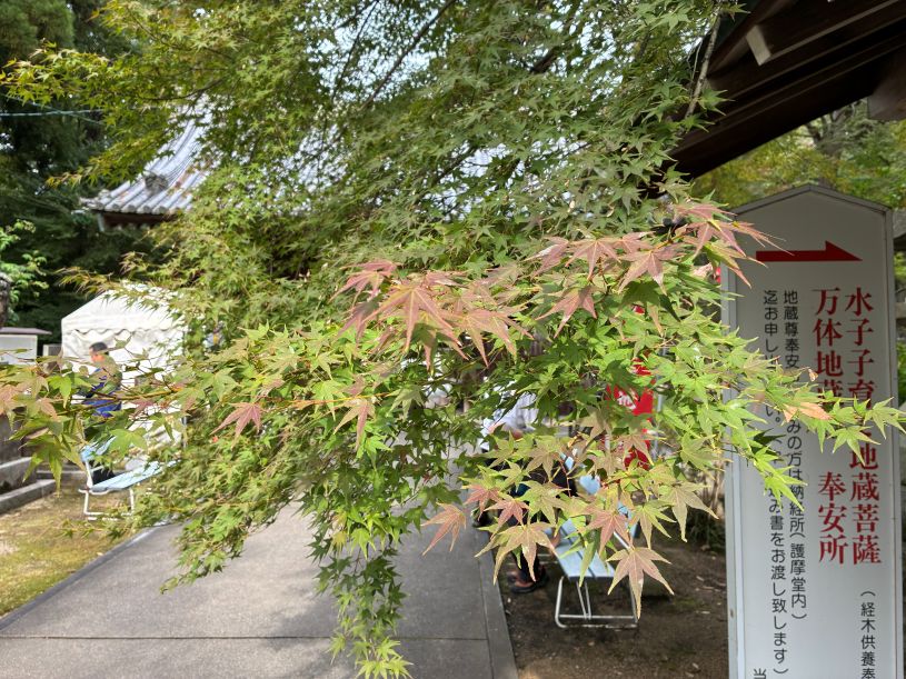 画像5