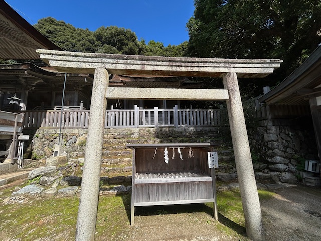 画像4