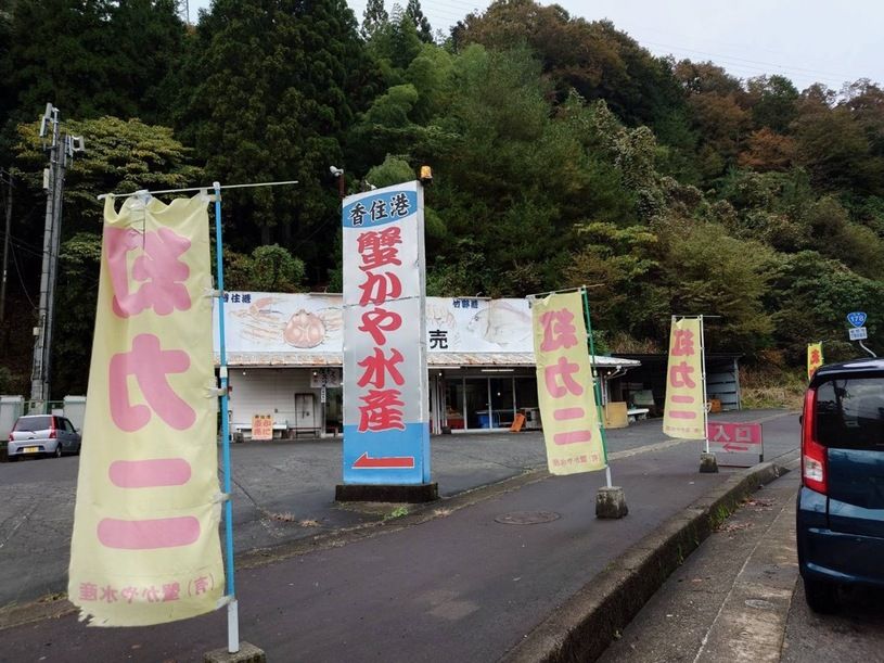 画像1