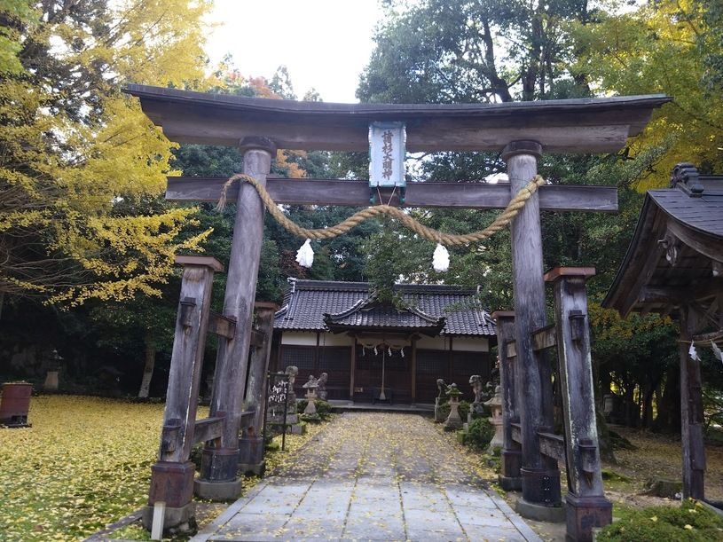 画像1