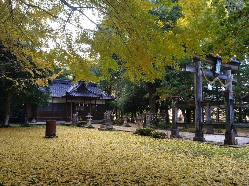 画像4
