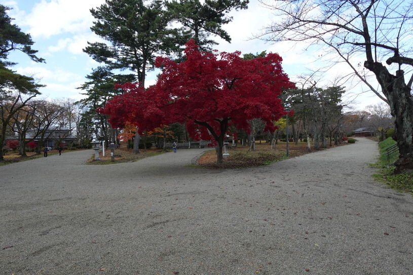 画像2