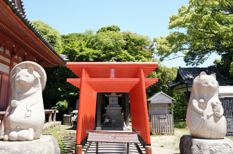 画像4