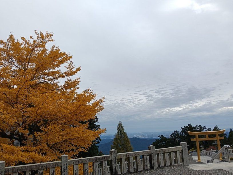 画像4