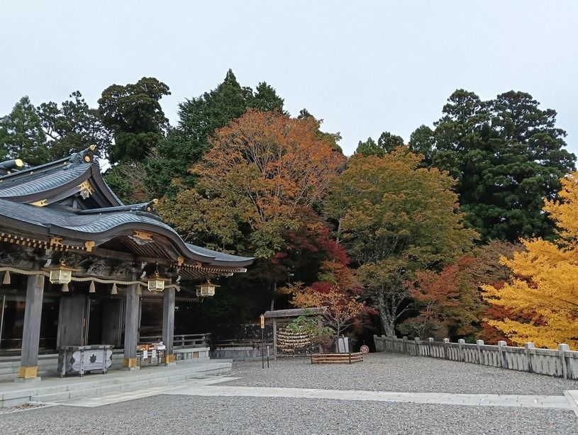 画像5