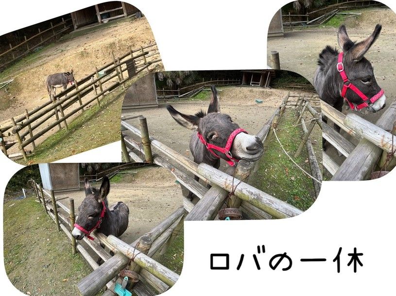 画像1