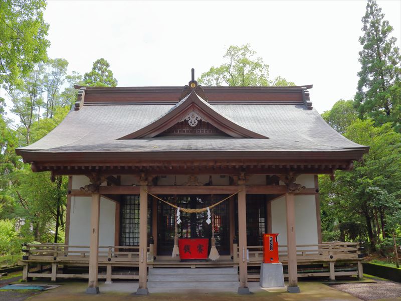 画像4