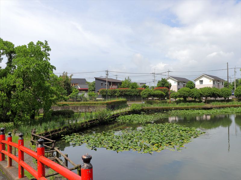 画像2