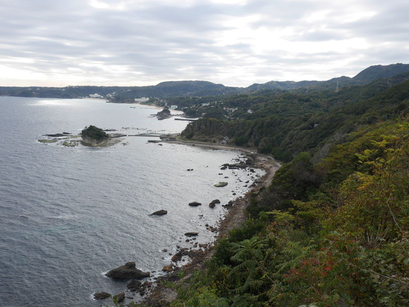 画像5