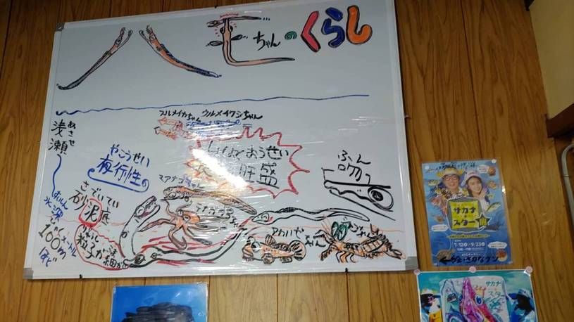画像5