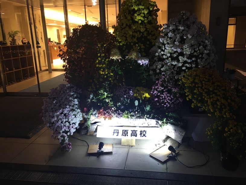 画像4