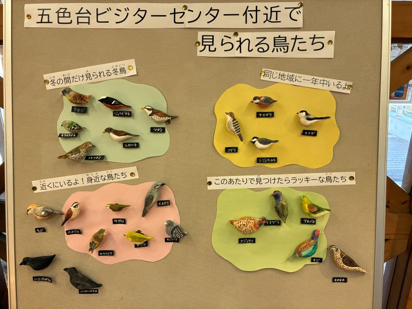 画像5