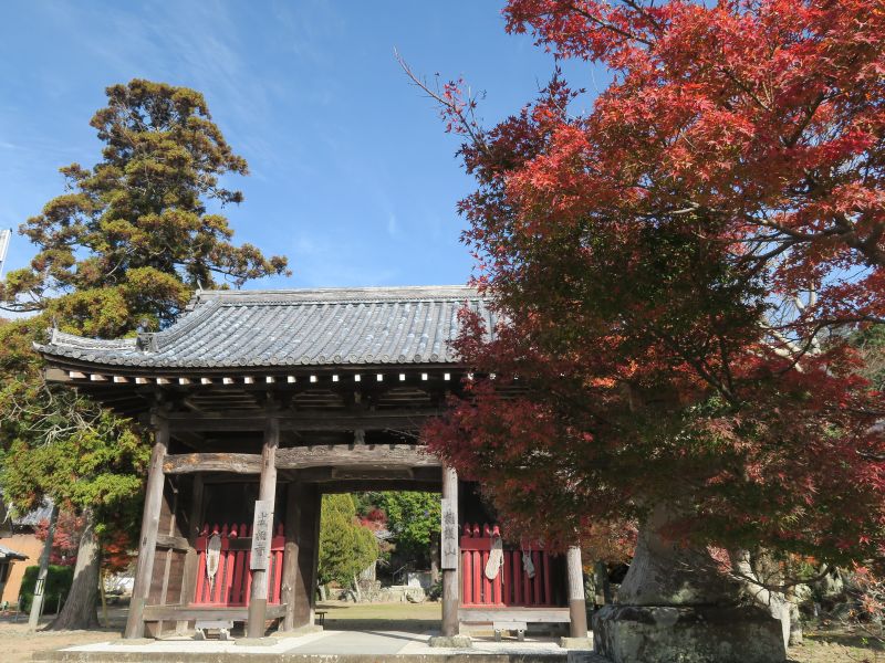 画像2