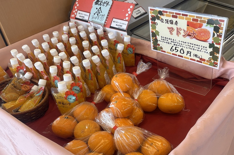 画像4