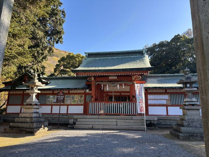 画像4