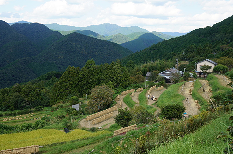 画像2